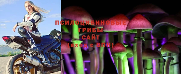 прущая мука Заволжск